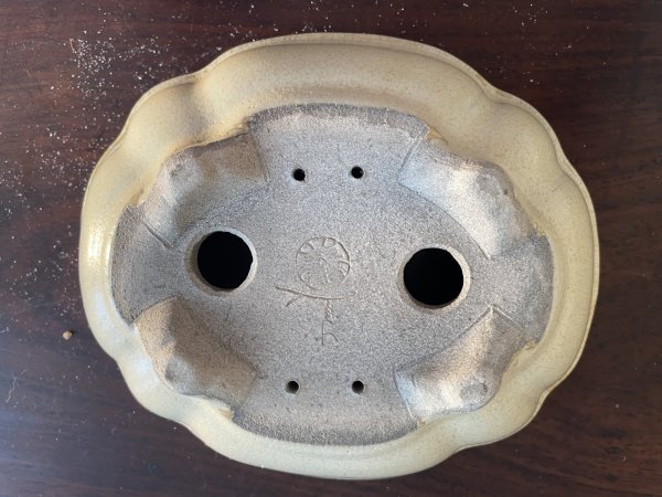 Photo3: SA5627  satomi (3)