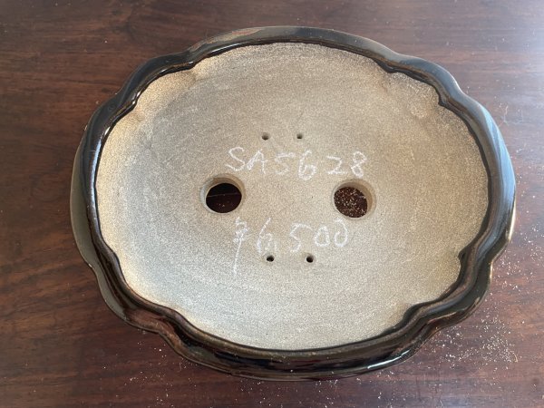 Photo2: SA5628  satomi (2)