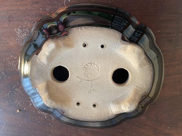 Photo3: SA5628  satomi (3)