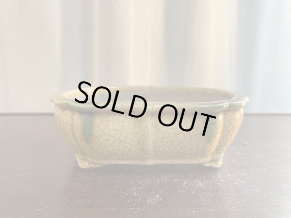 Photo1: SA5629  satomi (1)