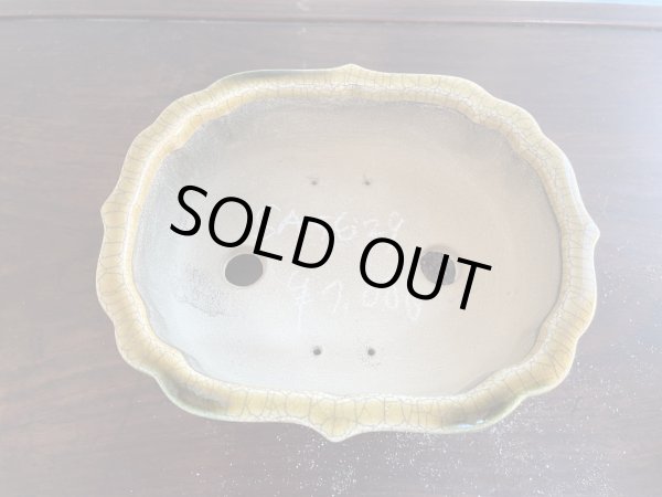 Photo2: SA5629  satomi (2)