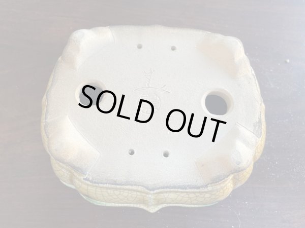 Photo3: SA5629  satomi (3)