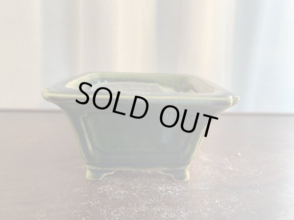 Photo1: SA5630  satomi (1)