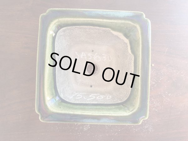 Photo2: SA5630  satomi (2)