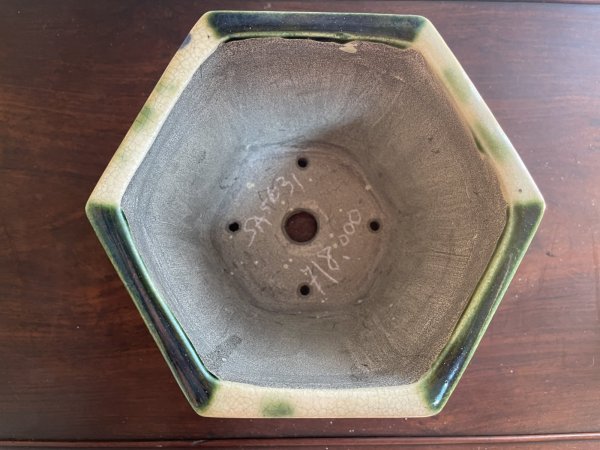 Photo2: SA5631  satomi (2)