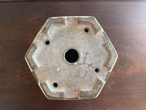 Photo3: SA5631  satomi (3)