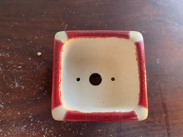 Photo2: SA5632  satomi (2)