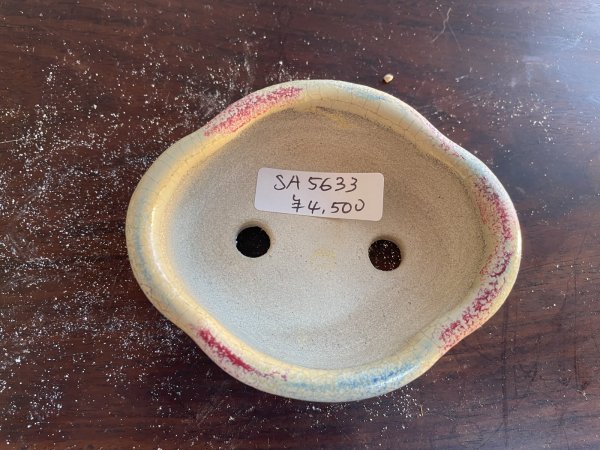 Photo2: SA5633  satomi (2)