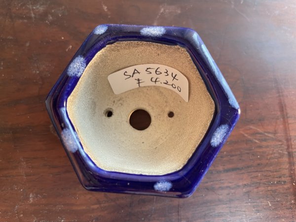 Photo2: SA5634  satomi (2)