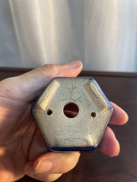 Photo3: SA5633  satomi (3)