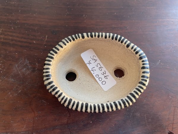 Photo2: SA5636  satomi (2)