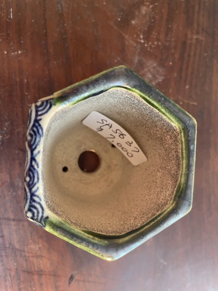 Photo2: SA5637  satomi (2)