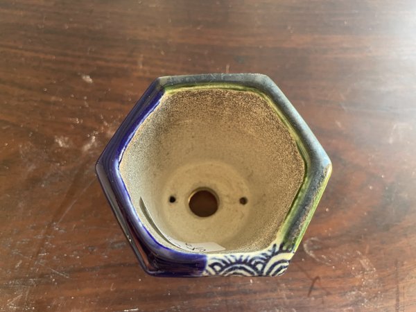 Photo2: SA5638  satomi (2)