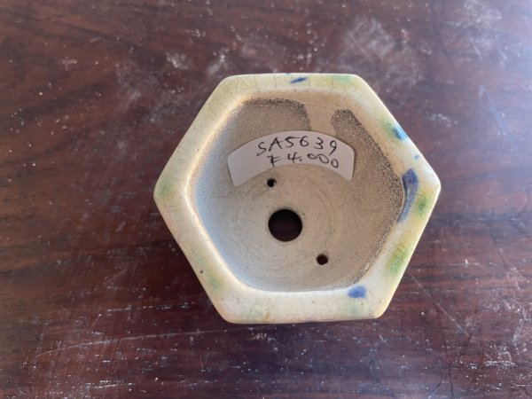 Photo2: SA5639  satomi (2)