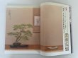 Photo2: No.Kinbon Air  Kinbon subscription by airmail Annual subscription (12 copies) Postage by airmail (2)