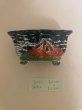 Photo2: No.TB0902  Tosui, Bonsai pot (2)