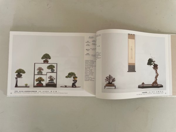 Photo4: No.GF album 50  N Gafu ten book No.50 (2025) (4)