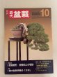 Photo1: No.Kinbon Sea  Kinbon subscription by sea Annual subscription ( 12 copies ) Postage by sea (1)