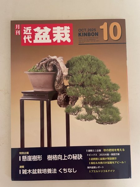 Photo1: No.Kinbon Sea  Kinbon subscription by sea Annual subscription ( 12 copies ) Postage by sea (1)