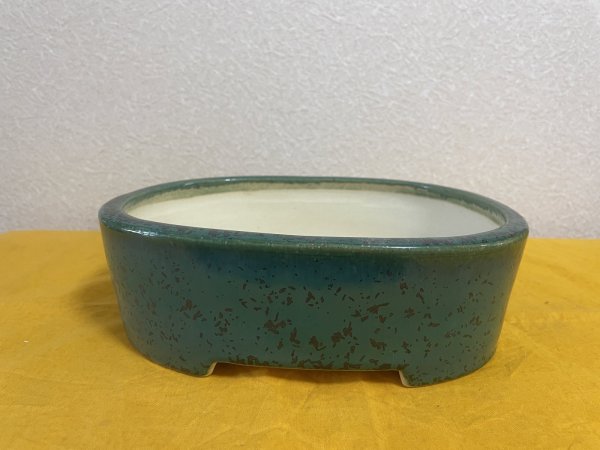 Photo1: No.SA5901 Koyo (1)