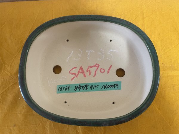 Photo2: No.SA5901 Koyo (2)