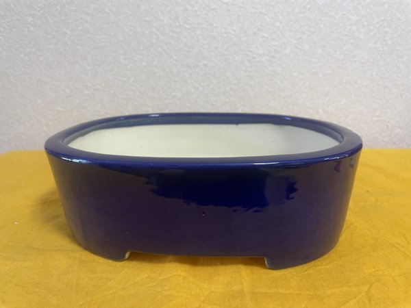 Photo1: No.SA5902 Koyo (1)