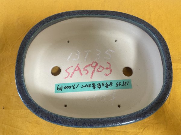 Photo2: No.SA5903 Koyo (2)