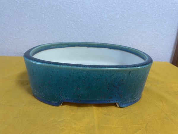 Photo1: No.SA5904 Koyo (1)