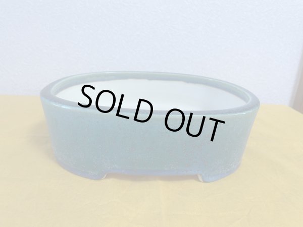 Photo1: No.SA5904 Koyo (1)