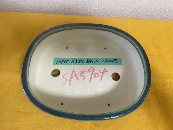 Photo2: No.SA5904 Koyo (2)