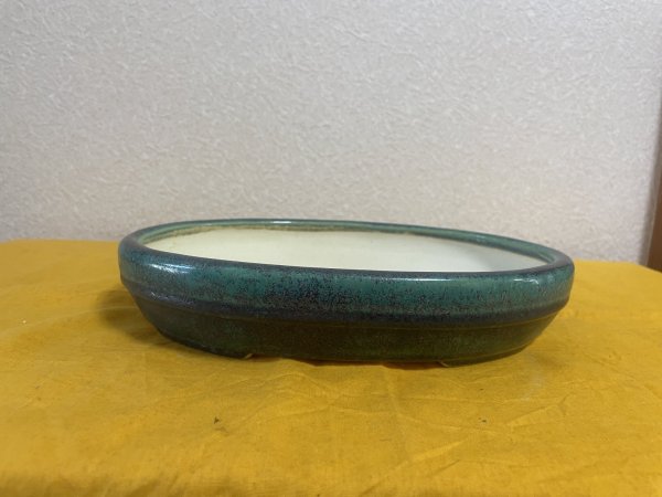 Photo1: No.SA5905 Koyo (1)