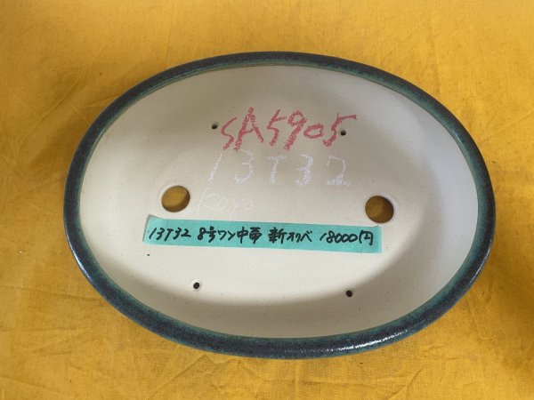 Photo2: No.SA5905 Koyo (2)