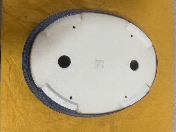 Photo3: No.SA5906 Koyo (3)