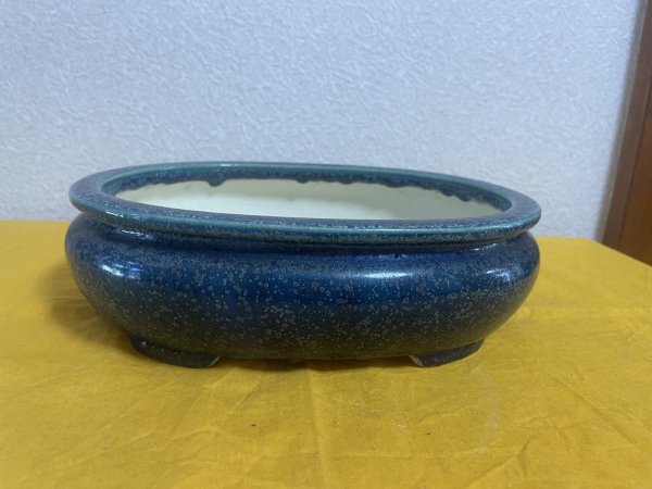 Photo1: No.SA5907 Koyo (1)