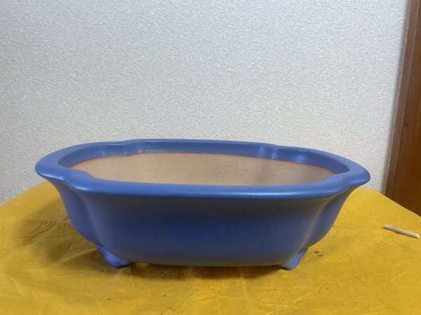 Photo1: No.SA5912 Reiho (1)