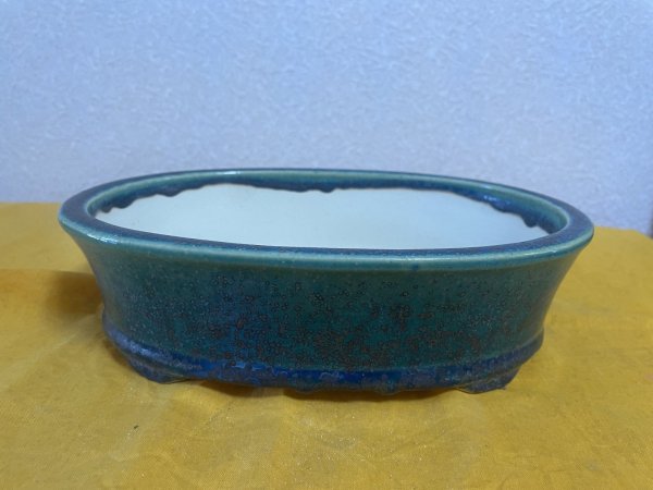 Photo1: No.SA5917 Koyo (1)