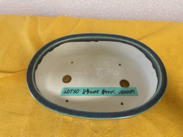 Photo2: No.SA5917 Koyo (2)