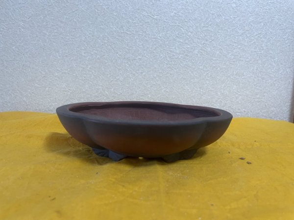 Photo1: No.SA5920 Bigei (1)