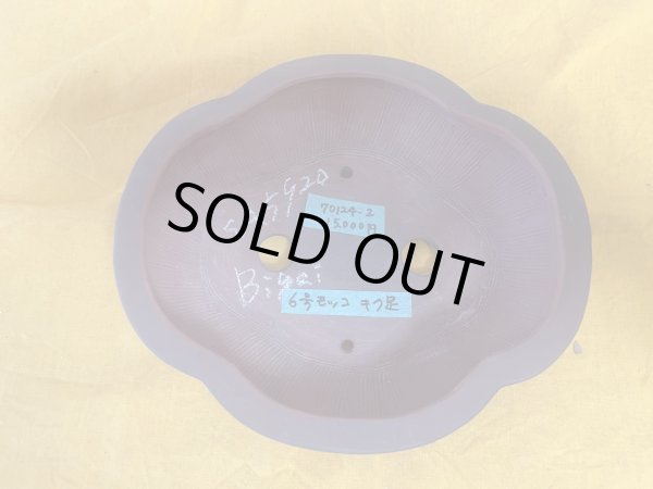 Photo2: No.SA5920 Bigei (2)