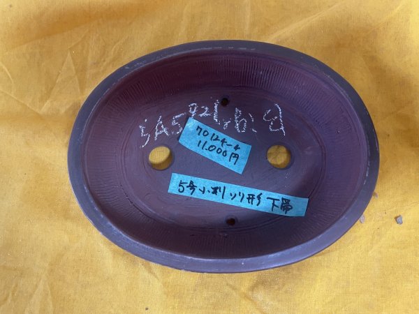 Photo2: No.SA5921 Bigei (2)