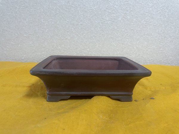 Photo1: No.SA5922 Bigei (1)