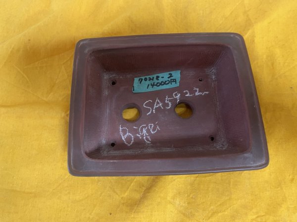 Photo2: No.SA5922 Bigei (2)