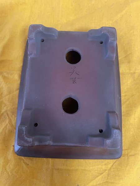 Photo3: No.SA5922 Bigei (3)