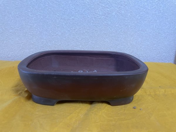 Photo1: No.SA5923 Bigei (1)