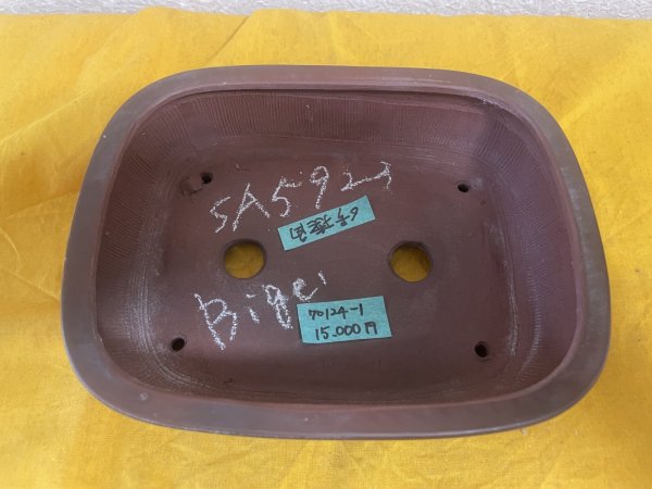 Photo2: No.SA5923 Bigei (2)