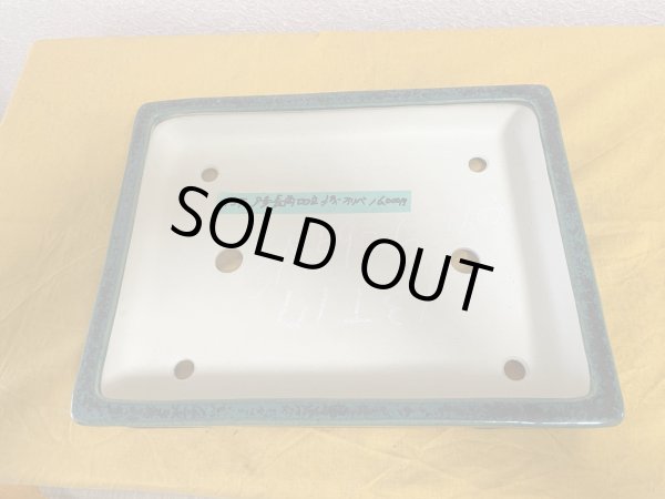 Photo2: No.SA5926 Koyo (2)