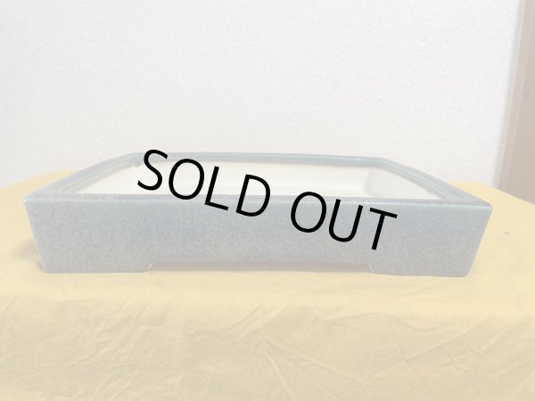 Photo1: No.SA5927 Koyo (1)