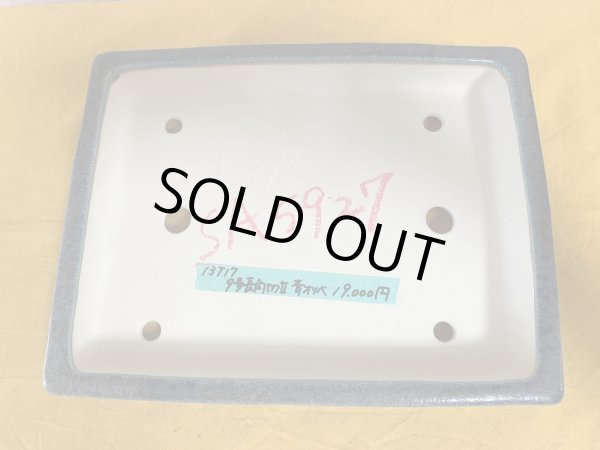 Photo2: No.SA5927 Koyo (2)