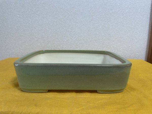 Photo1: No.SA5928 Koyo (1)