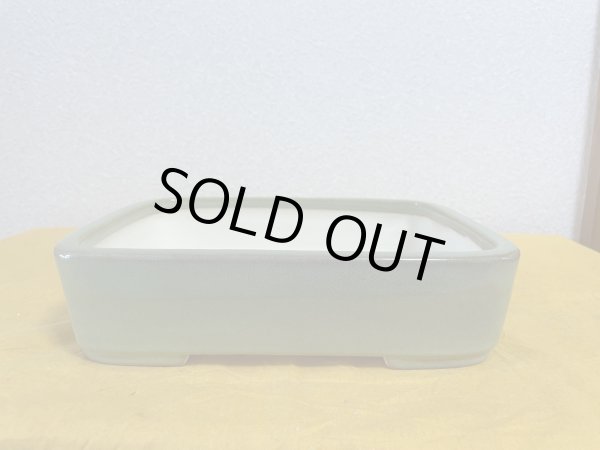 Photo1: No.SA5928 Koyo (1)